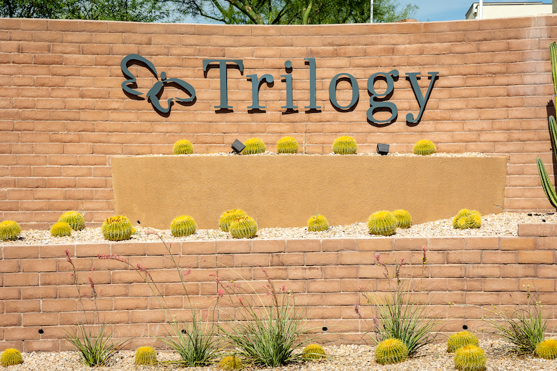 Summerlin%20 %20triology%20 %20ground